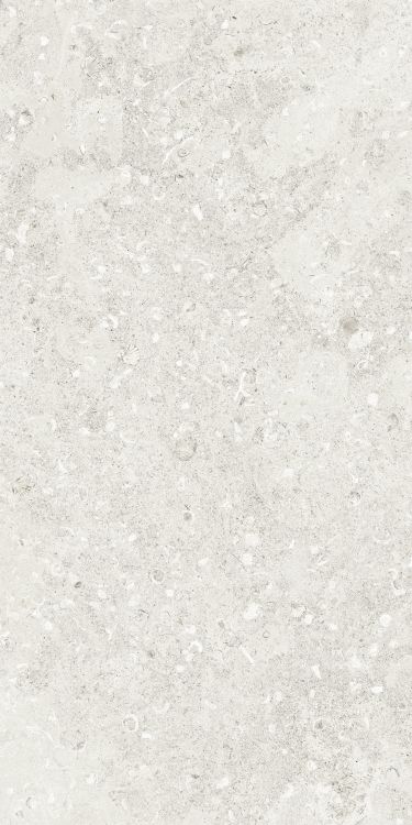 Sea Luster Bianca Matte 24 x 48